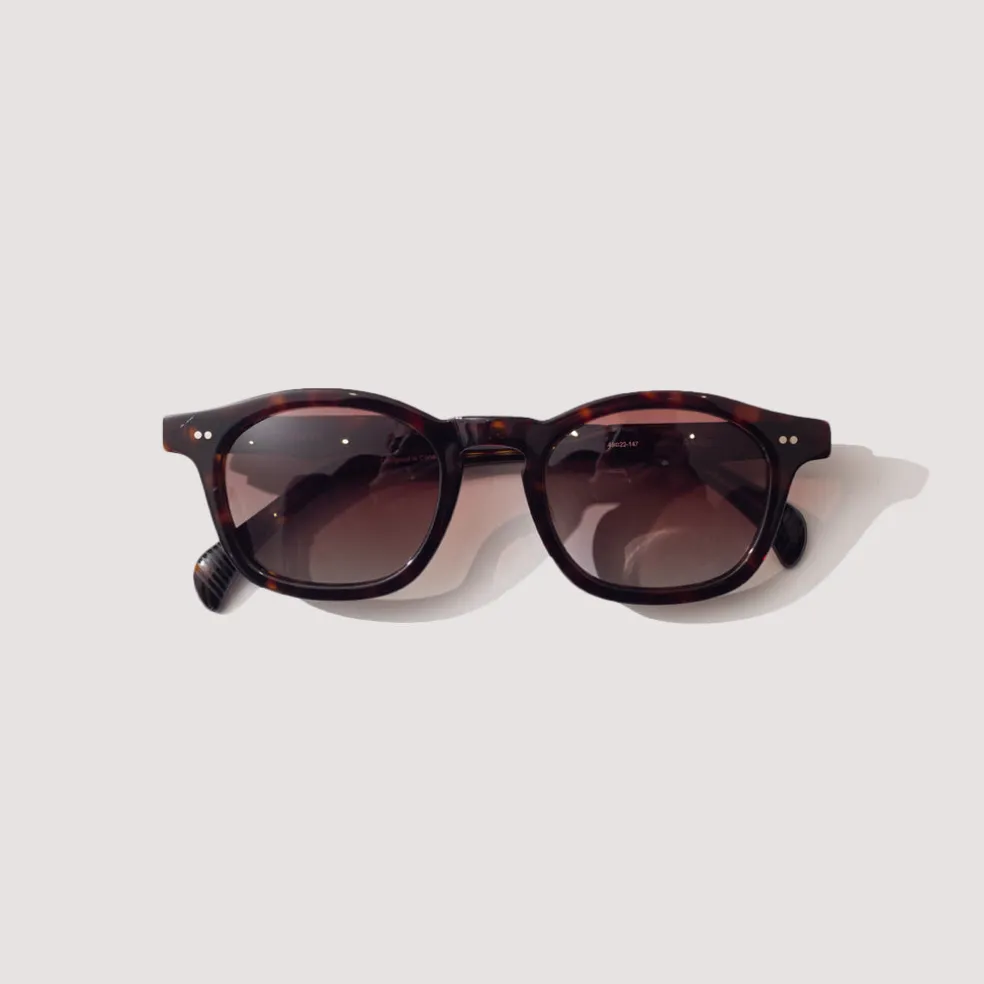 Alves - Tortoise