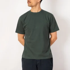Haleiwa S/S - Beluga
