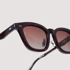 Koya - Tortoise