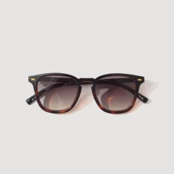 No Biggie - Black/Tort